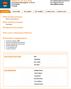 Exemple de mini-site Internet